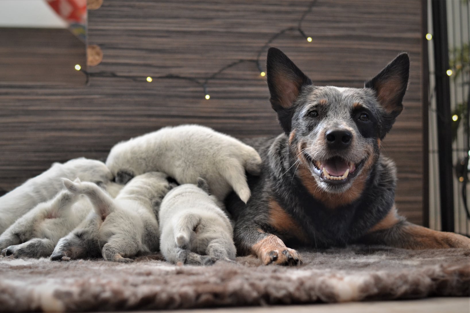 133972683_10215440927210917_7558178134927363864_o