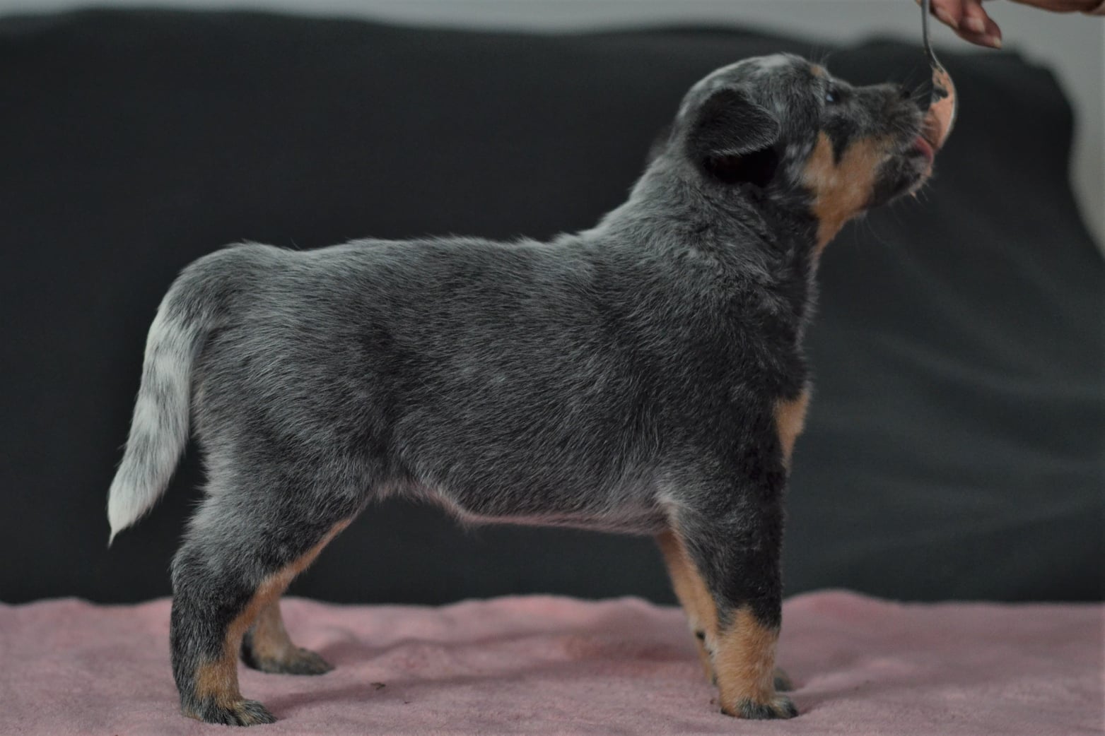 139432091_10215536475999577_1810311019504391361_o