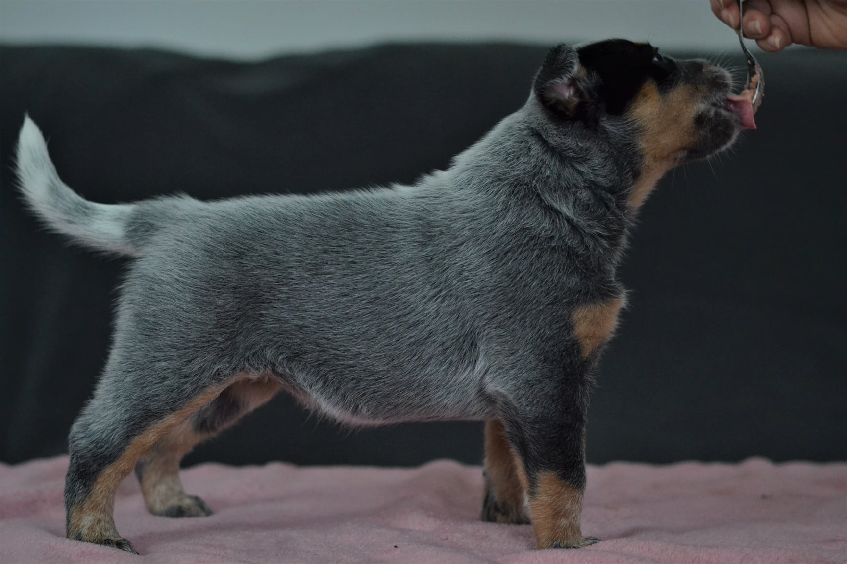 139456632_10215536476639593_5204381589211305031_o