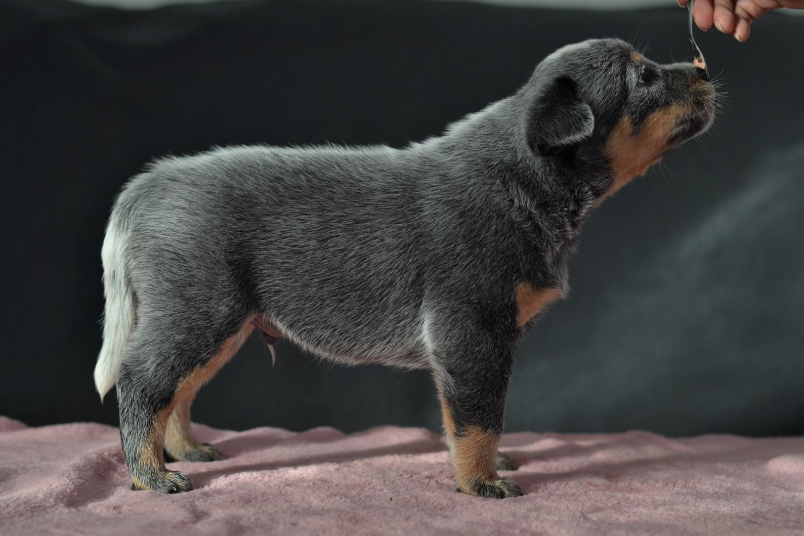 139459243_10215536476439588_7207600208747366427_o