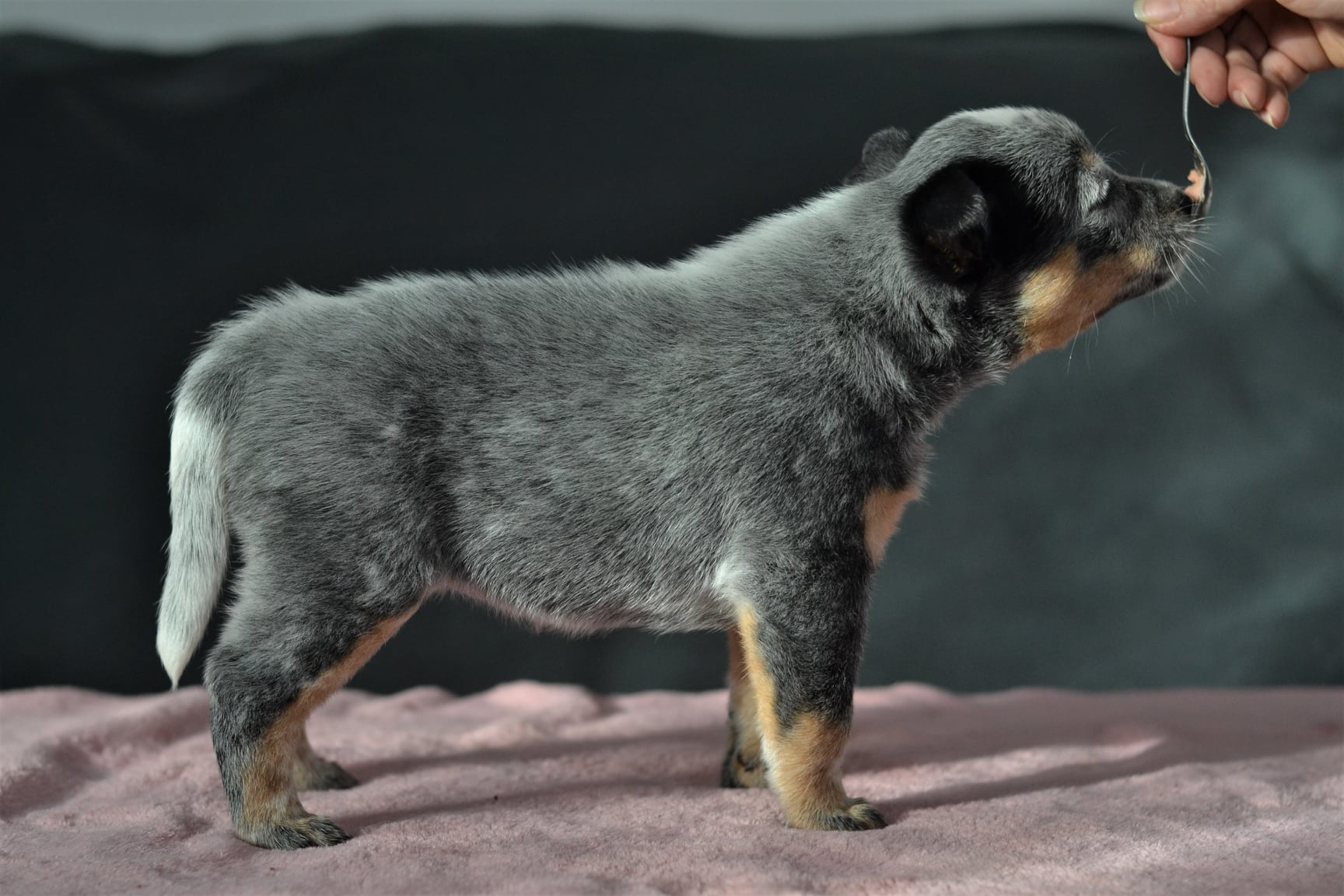 139603298_10215536476839598_1942049344837998735_o