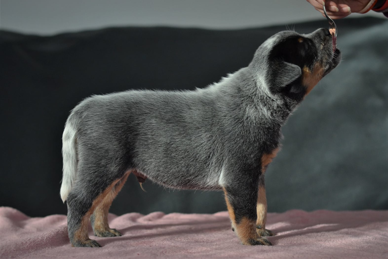 139705101_10215536476079579_4718341067692590242_o