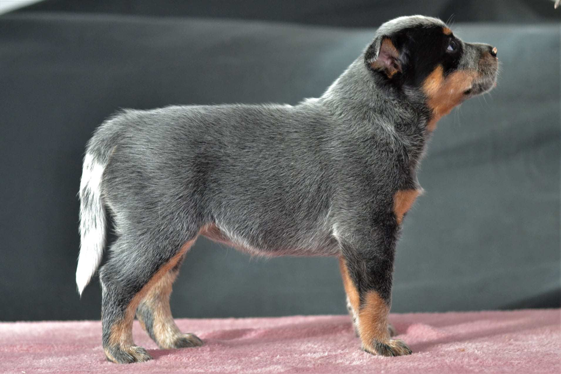 140807051_10215560386397322_607015952250535006_o