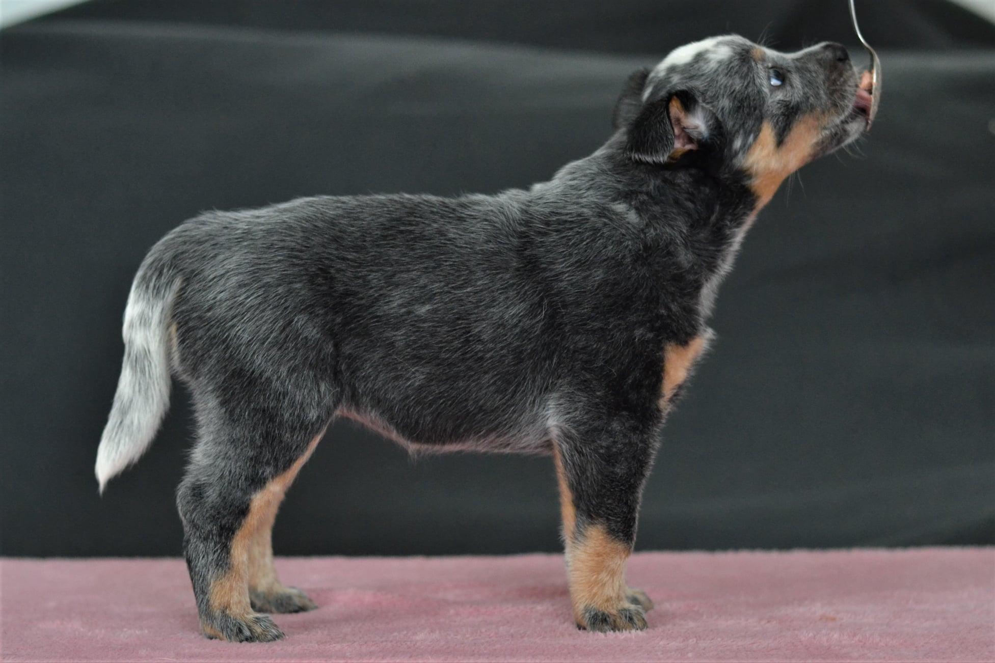 140918661_10215560393477499_2445572364433397242_o