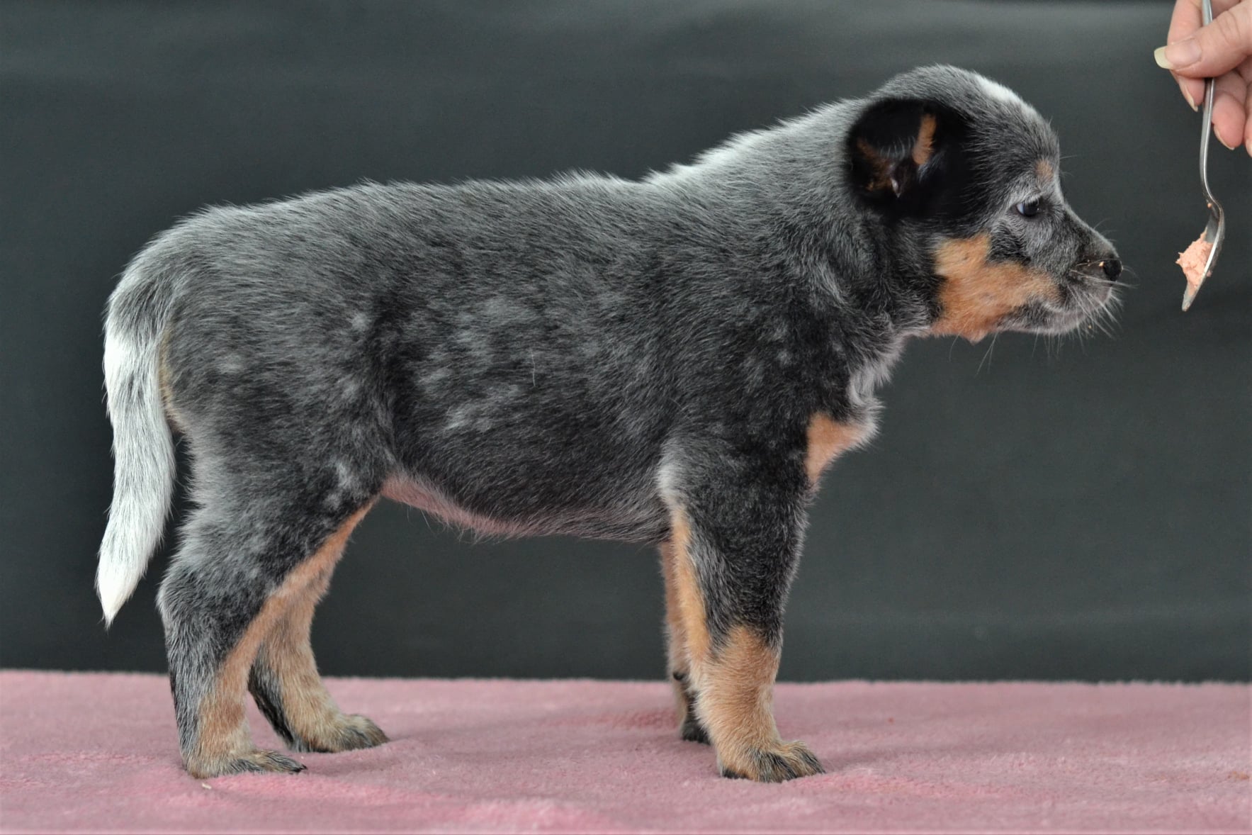 141078719_10215560386877334_2758946912867627037_o