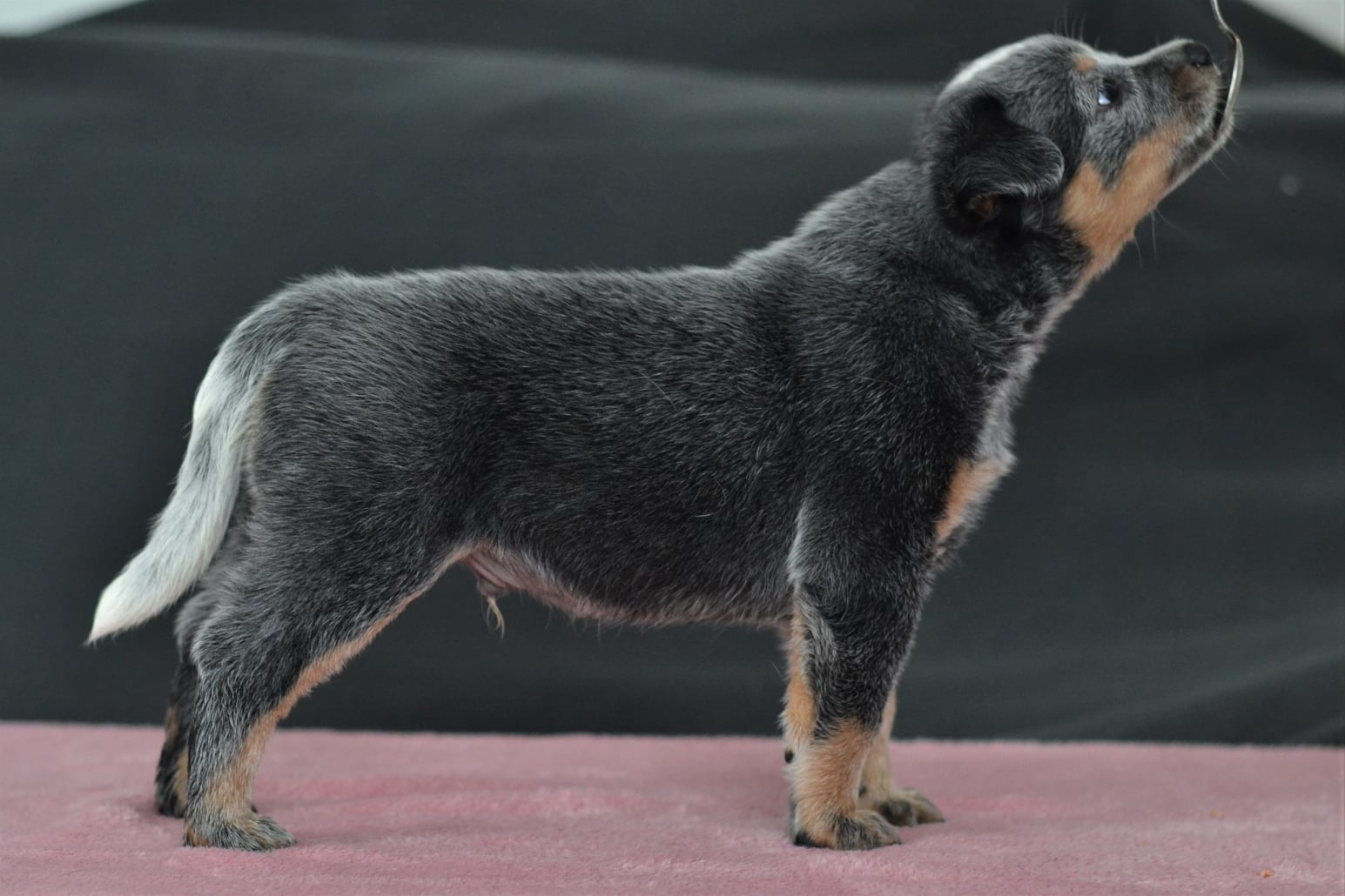 141274729_10215560392957486_3006742489735214063_o