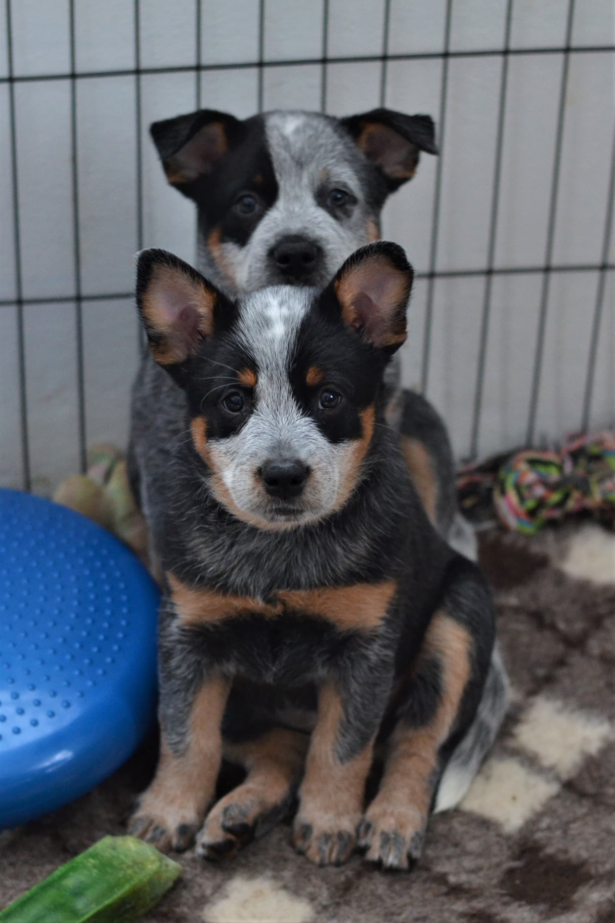 145001607_10215635855724008_4871226111785926287_o