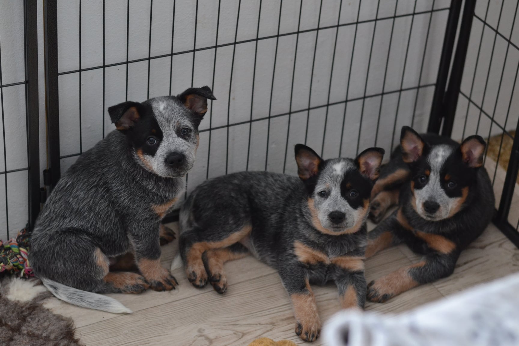 145001699_10215635858604080_5369677816622136526_o