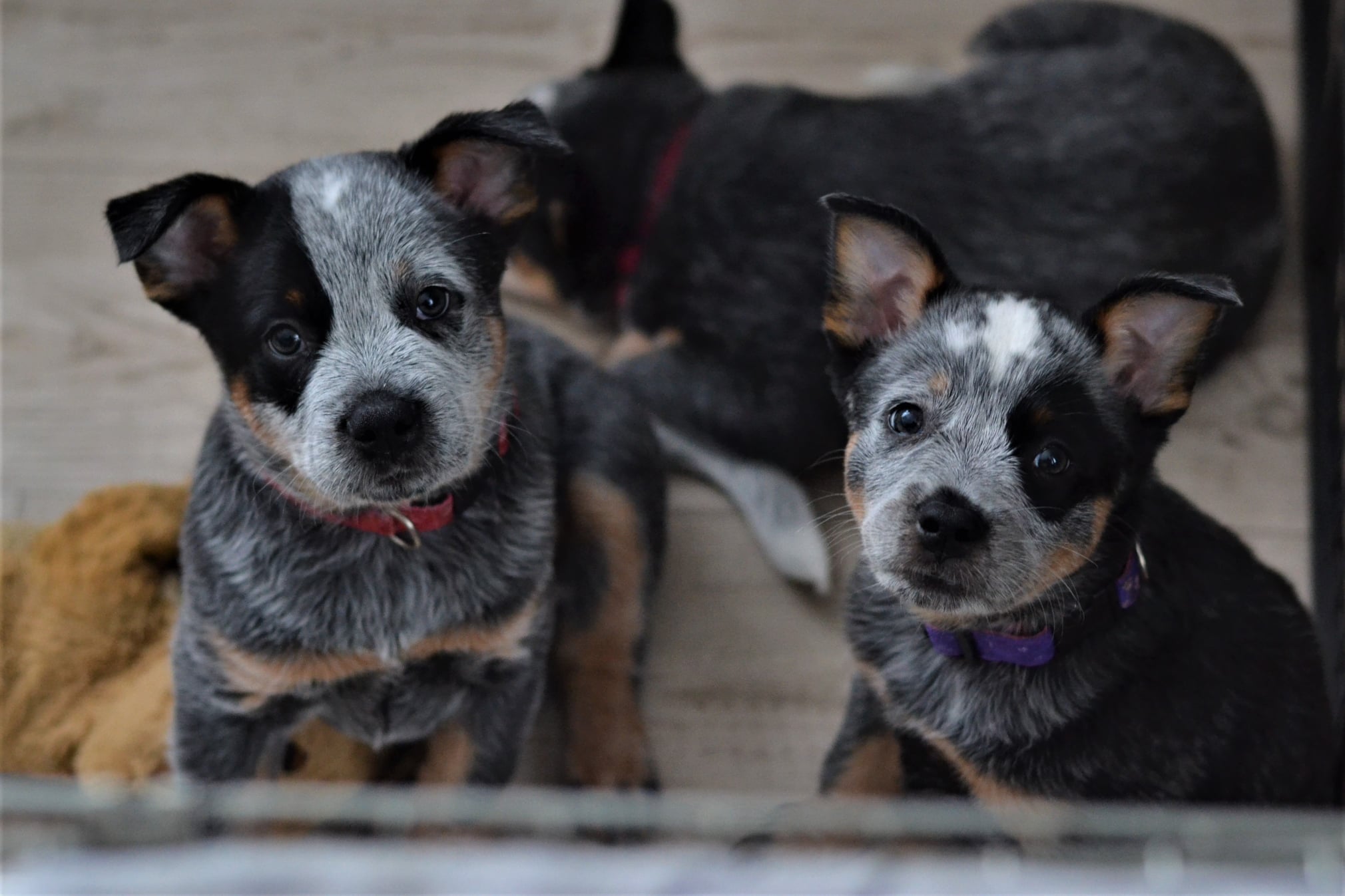 145131235_10215635845763759_7919666020126887432_o