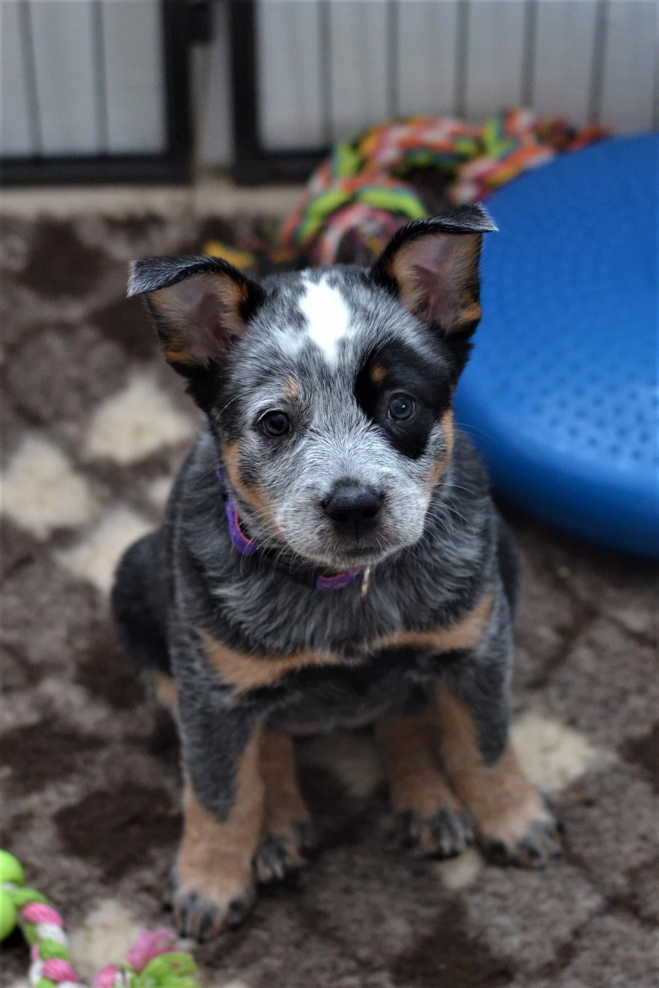 145191790_10215635857084042_2639850236067860465_o