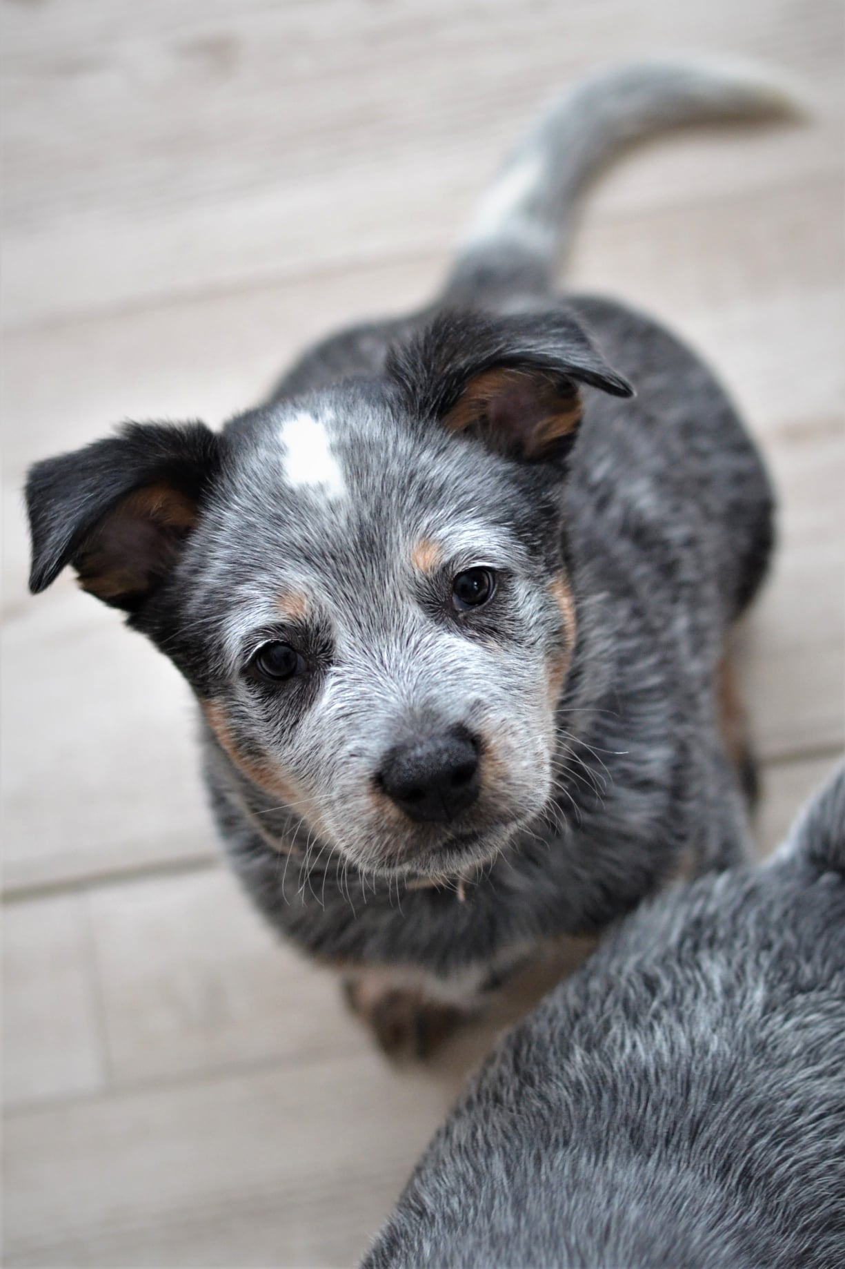 145266844_10215635962446676_7469796510047469489_o