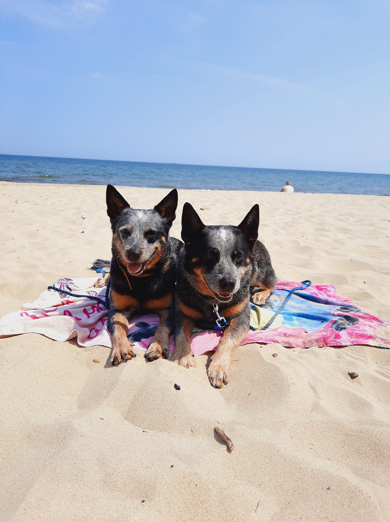 202539339_10216333253518517_1912176622267485447_n