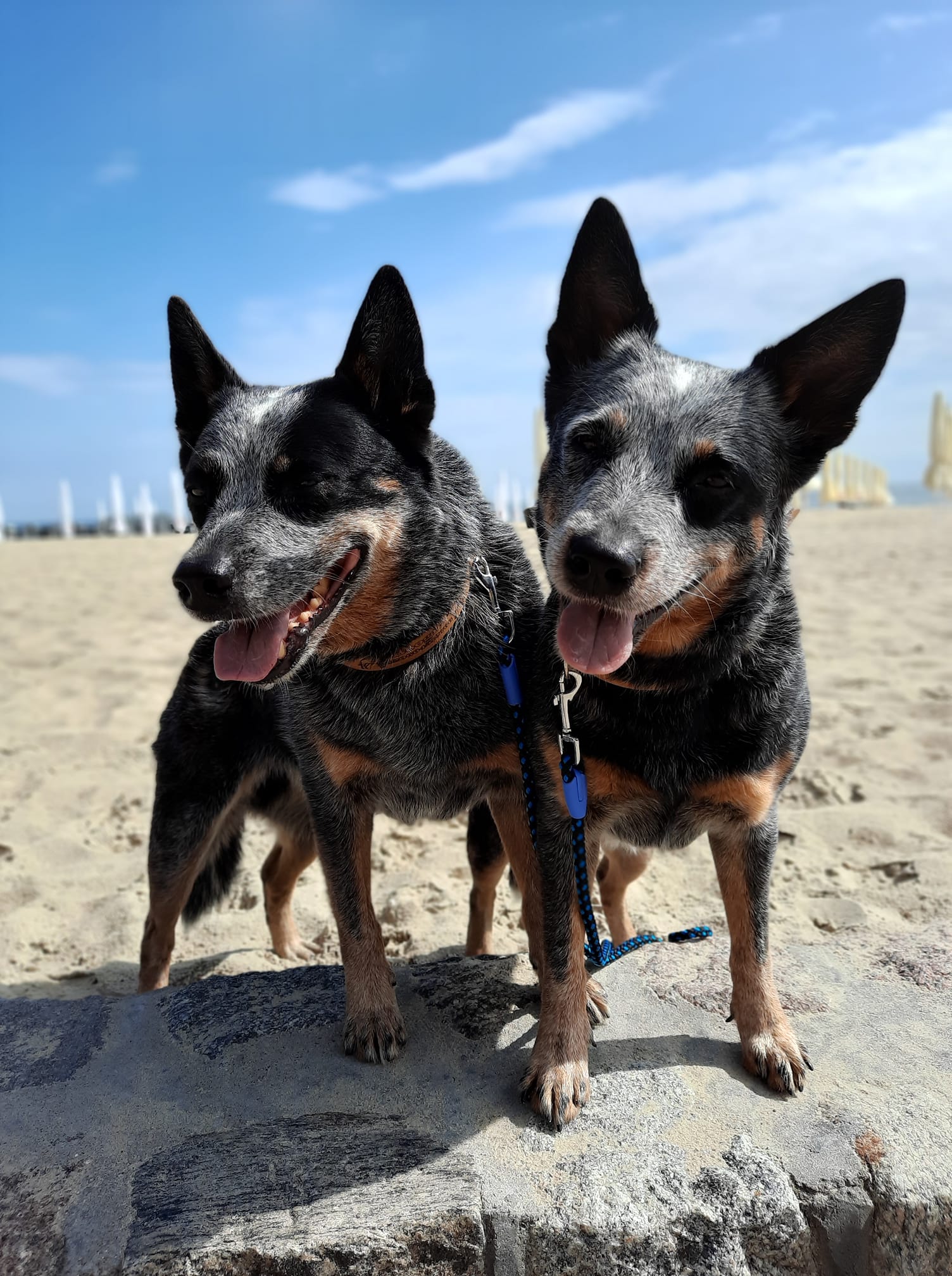 202989061_10216337236978101_6086740226671941617_n