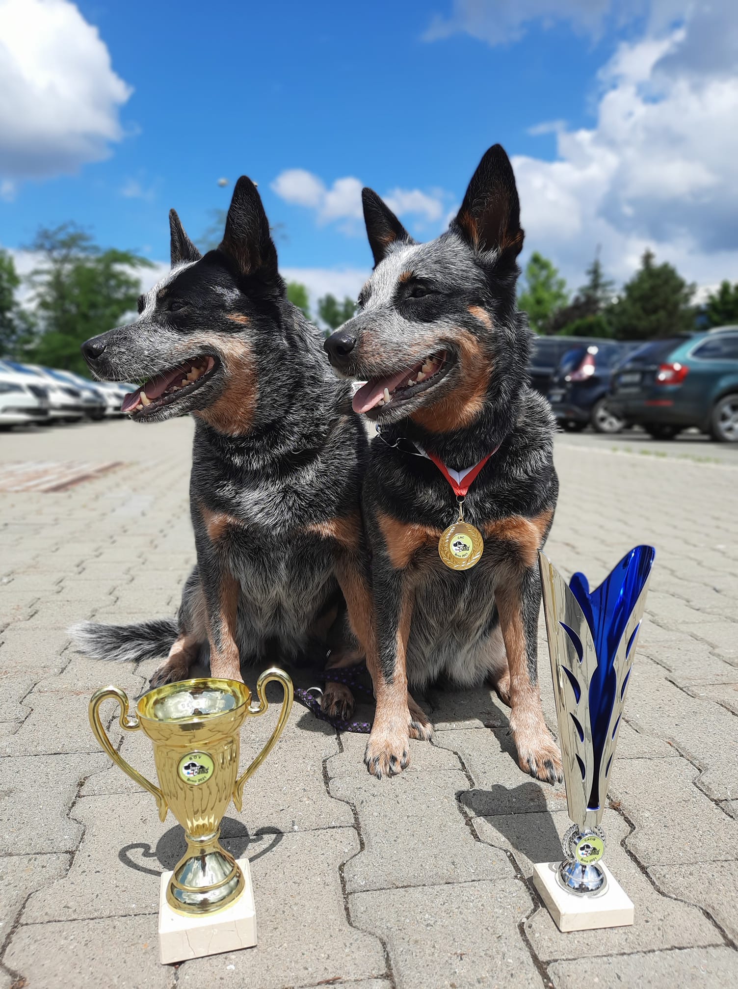 205328979_10216351154286025_631628969074417159_n