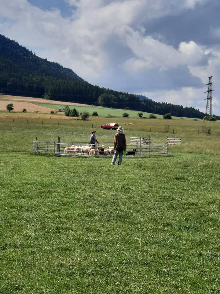 210343147_10216390660313651_733470208985552558_n