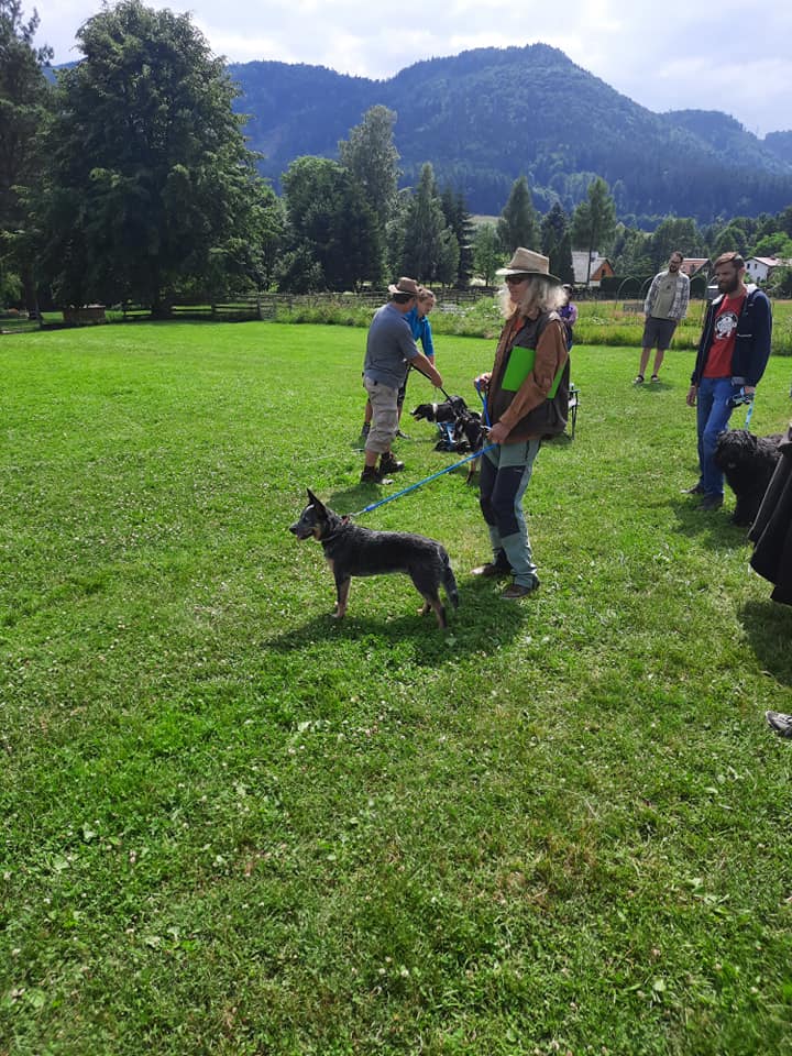 210371983_10216390657953592_5849875786077924248_n