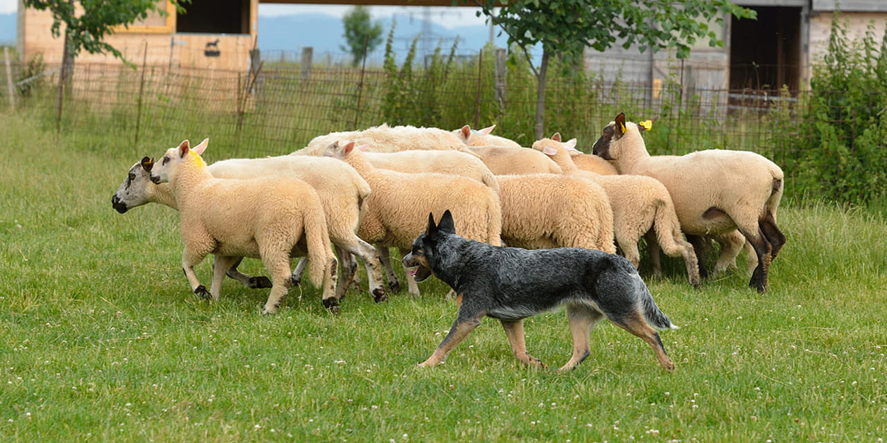 210610717_10216390814717511_5151400428237099915_n