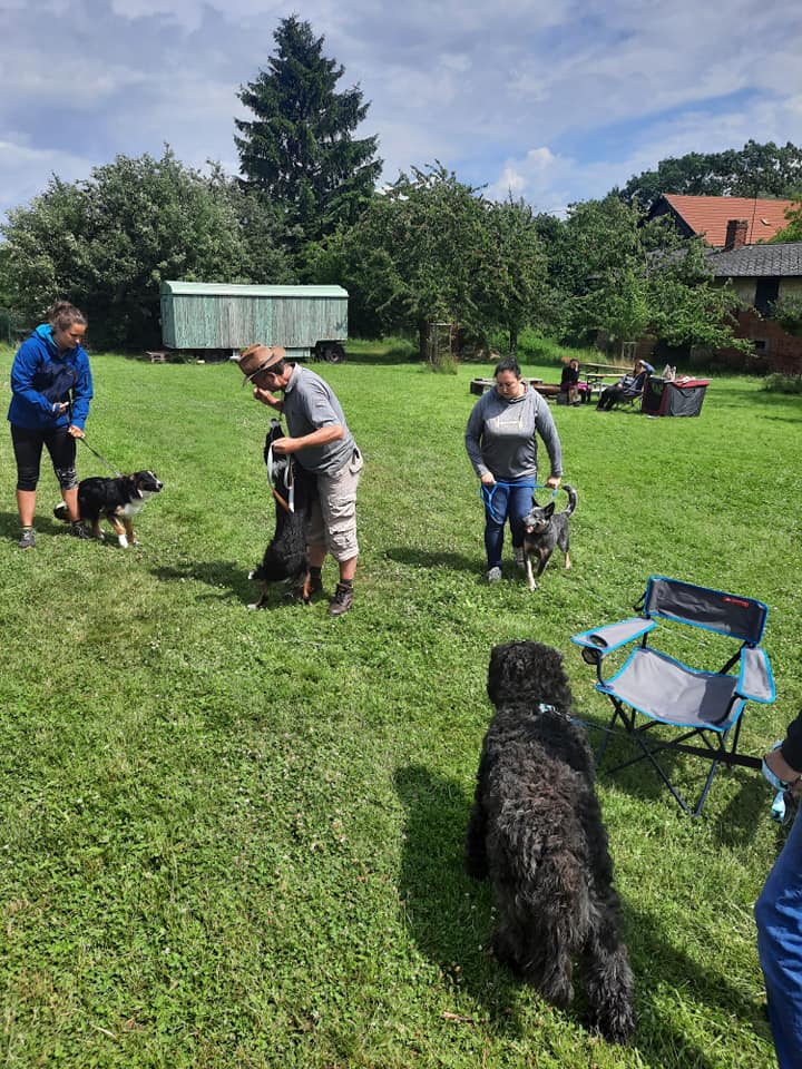 210800434_10216390657073570_4090823843105143586_n