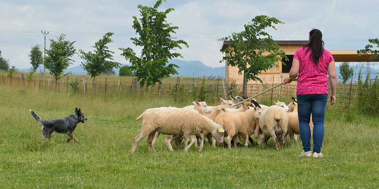 211018506_10216390813517481_6177689288106291264_n