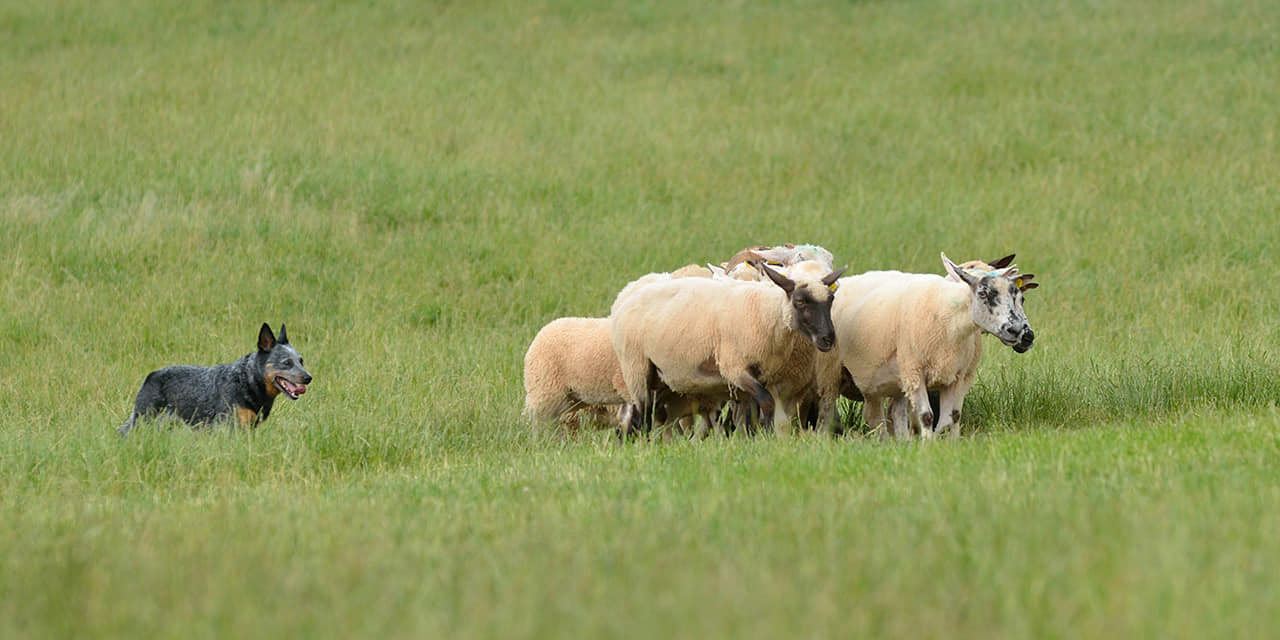 211271752_10216390816037544_2500803293187833261_n