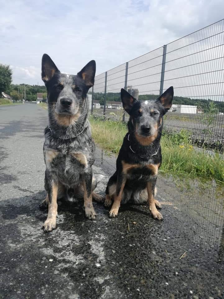 220279531_2966611480234667_8428691704108490509_n