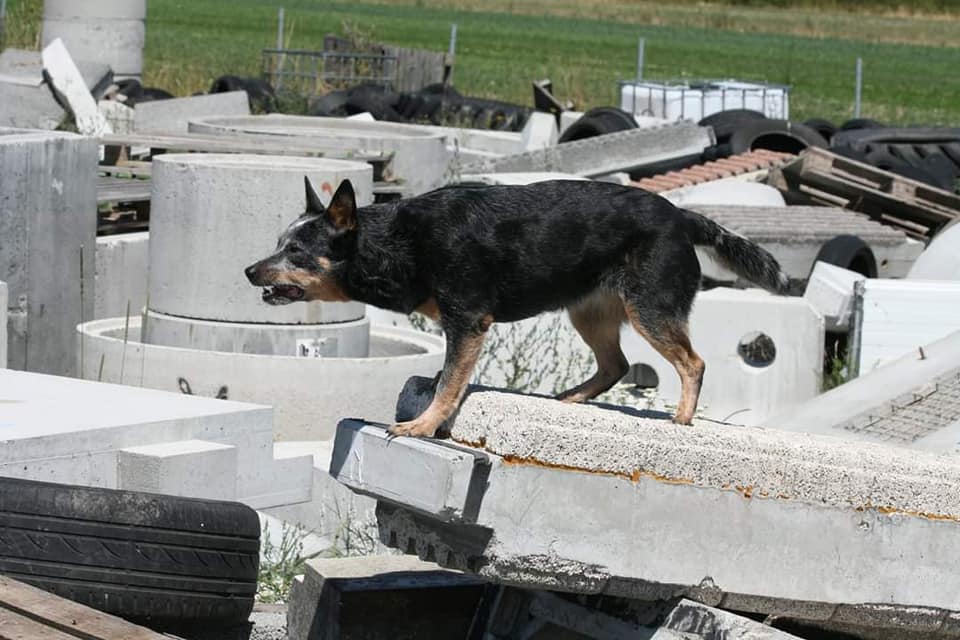 236206425_10216551909104770_1835245995386097872_n