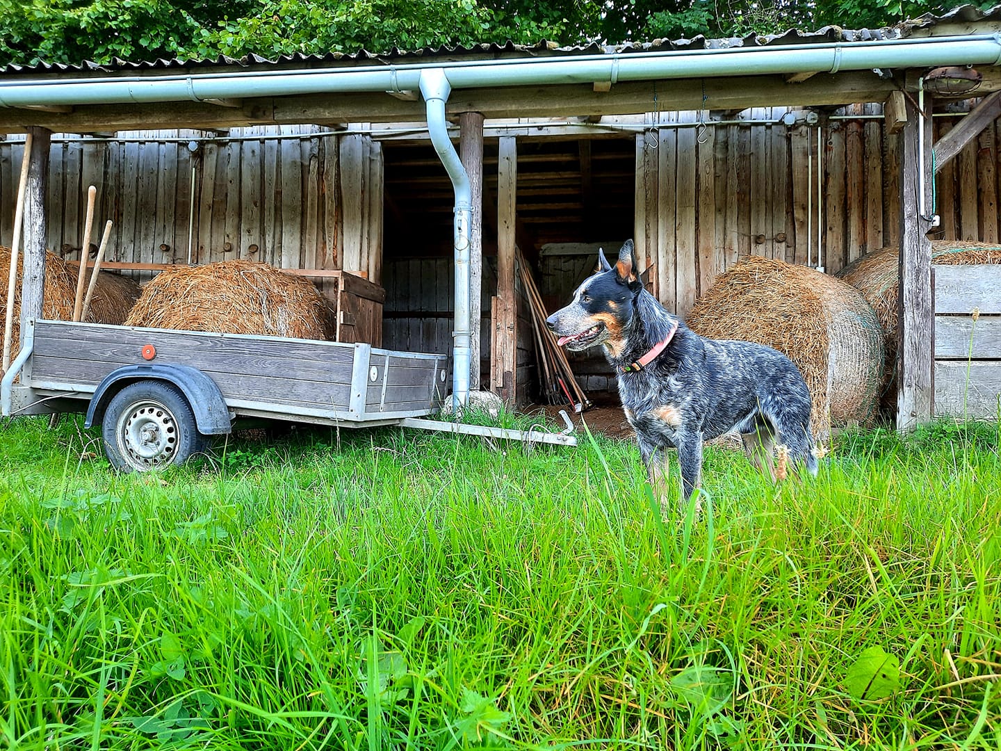 236330340_10216573080594044_2799480848583163281_n