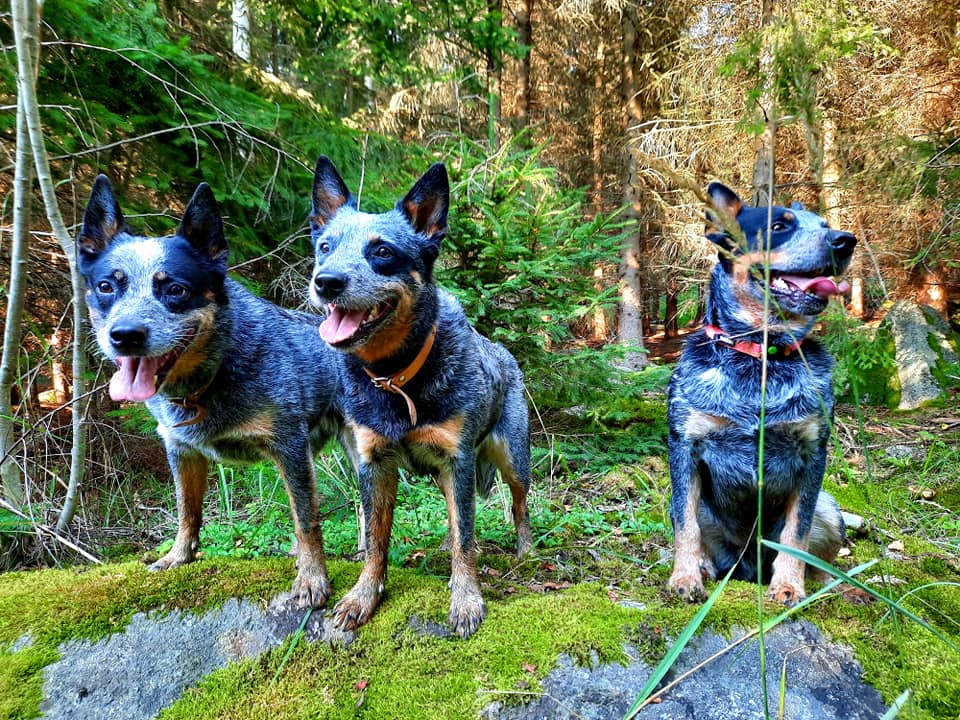 236442901_10216574059298511_2272703367638982217_n