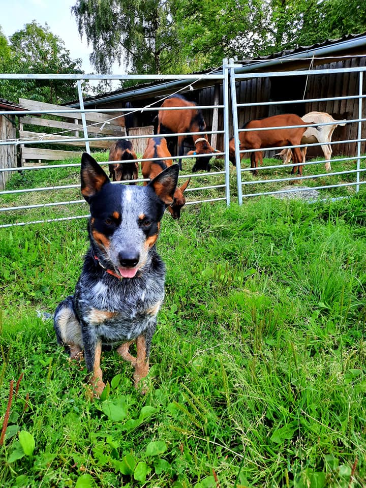 236462998_10216574058578493_5933591207346240668_n