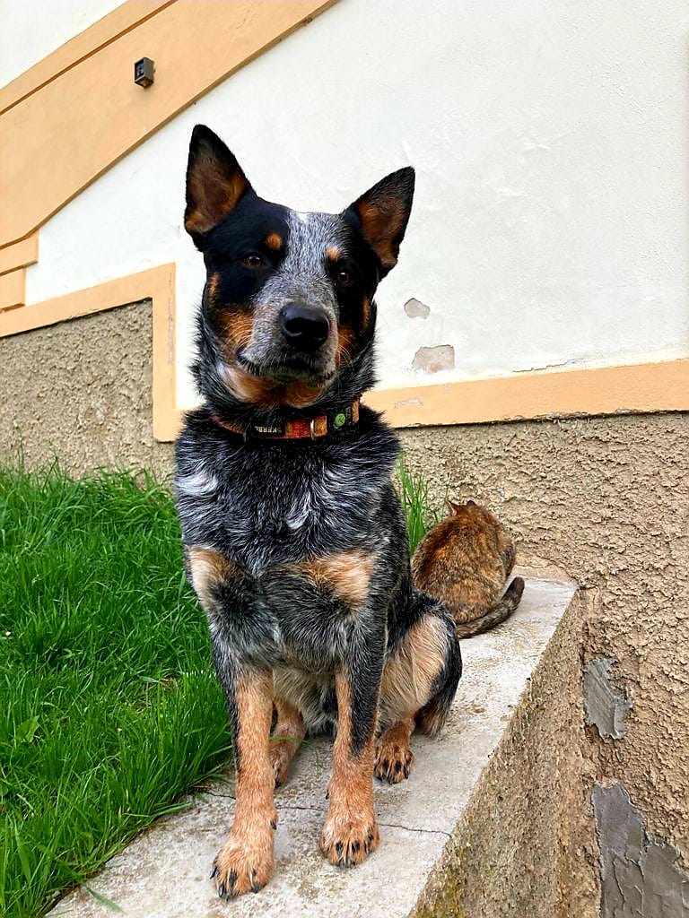 237037841_10216574021337562_7936501564157417894_n 1