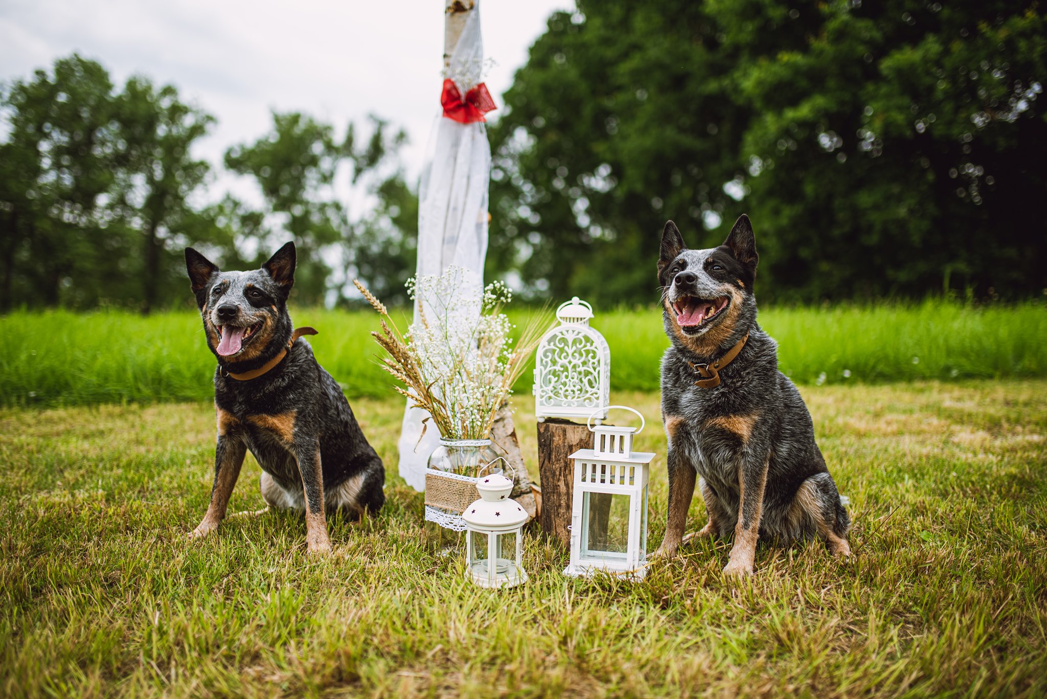 241640142_10216644555380869_996575034947556713_n