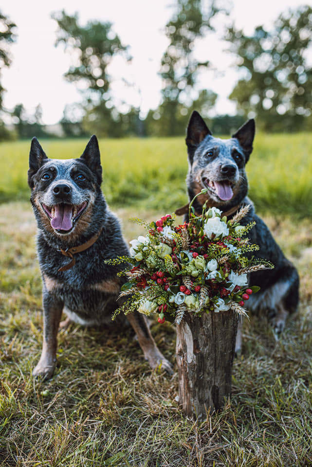 241689525_10216642840017986_6741077372962204968_n