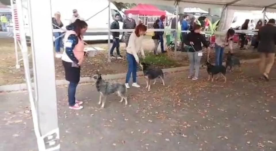 244545653_10216739730760194_7777628278102991755_n