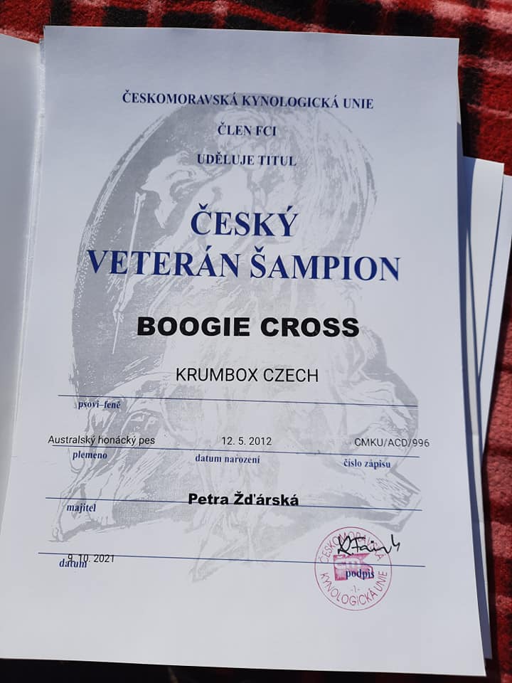 244634521_10216739731200205_2097706567179028485_n