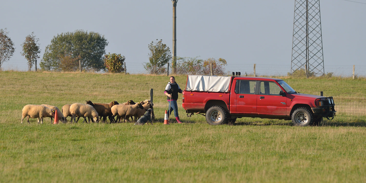 244712501_10216743646778092_7370991149107532534_n