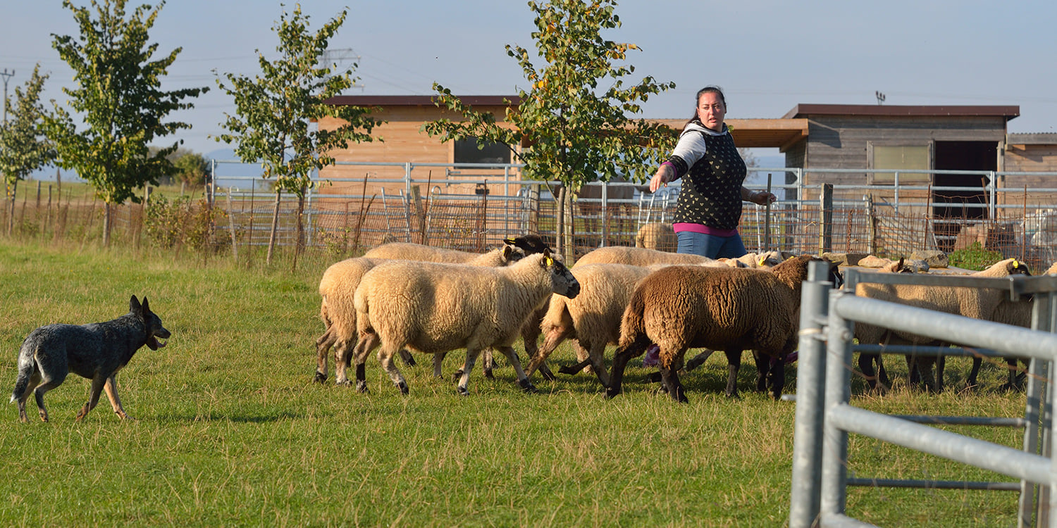 244717899_10216743645258054_4844397434431289279_n