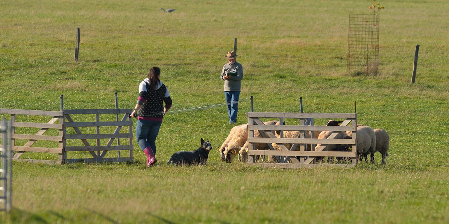 244727053_10216743646498085_5718116058566906908_n