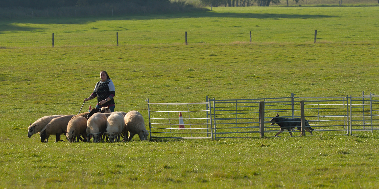 244774359_10216743644938046_7889517915663997743_n