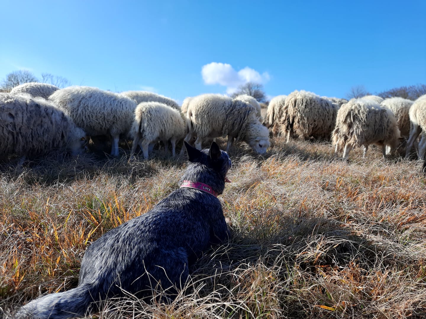 252258448_10216850018317314_1266766763023958341_n