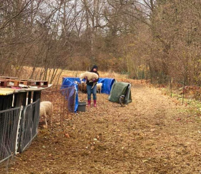 252938627_10216855884263959_2616045261103400880_n