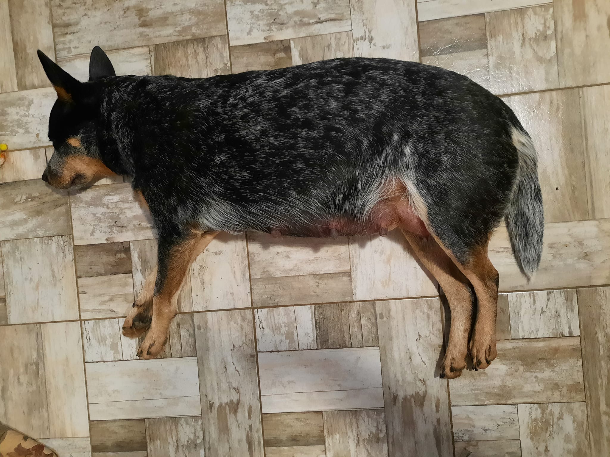 259466252_10216907434872692_5893044148228719801_n