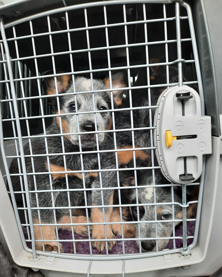 271798850_10217104979051173_3842594792028716125_n