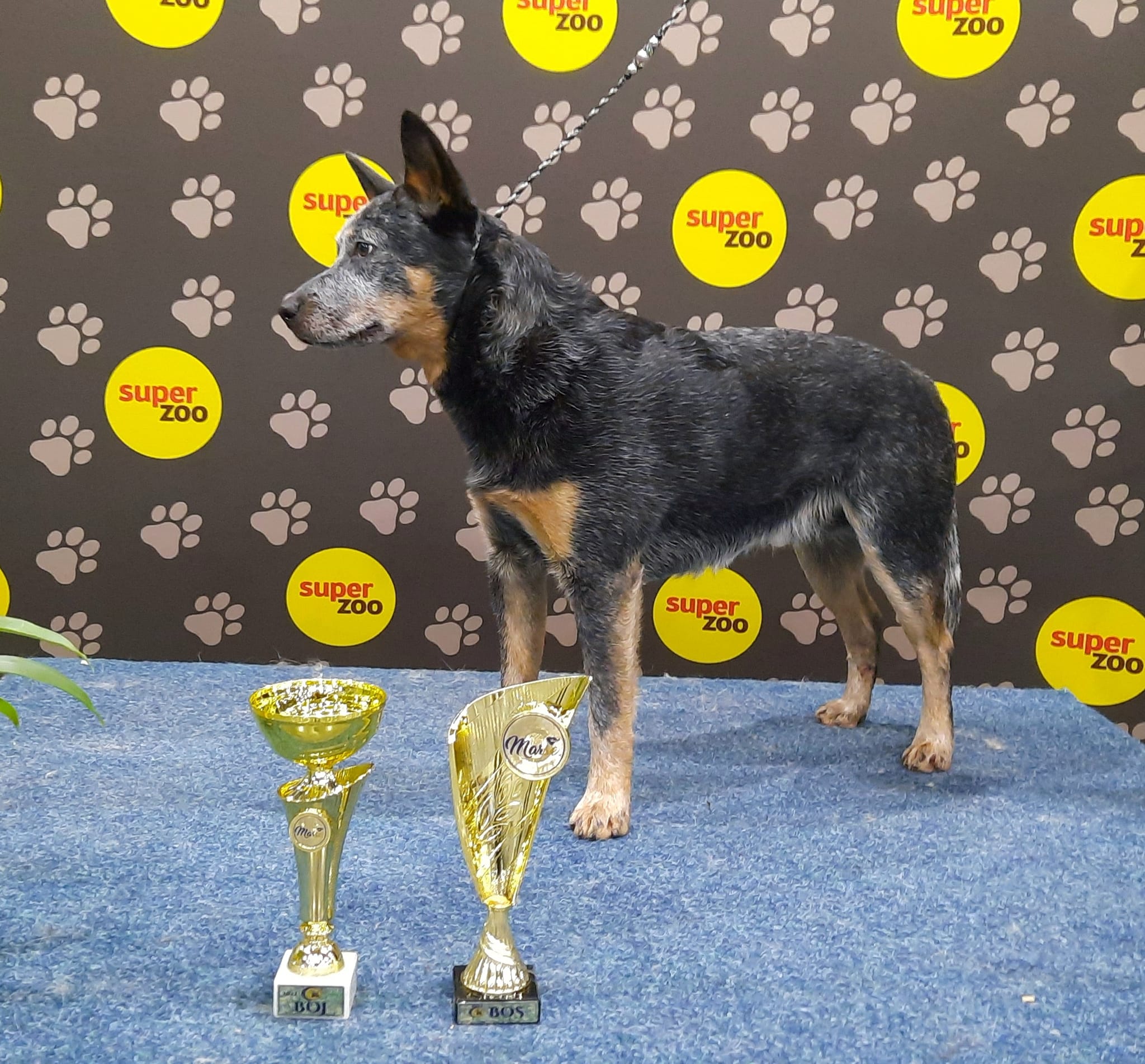 273164325_10217194349165370_5211087568082093716_n