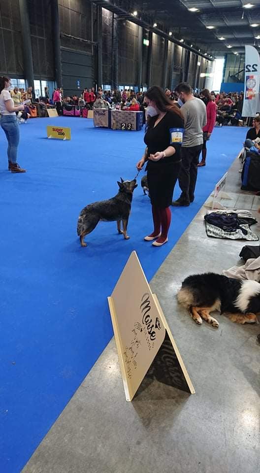 273282707_10217193102014192_7997659480575682514_n