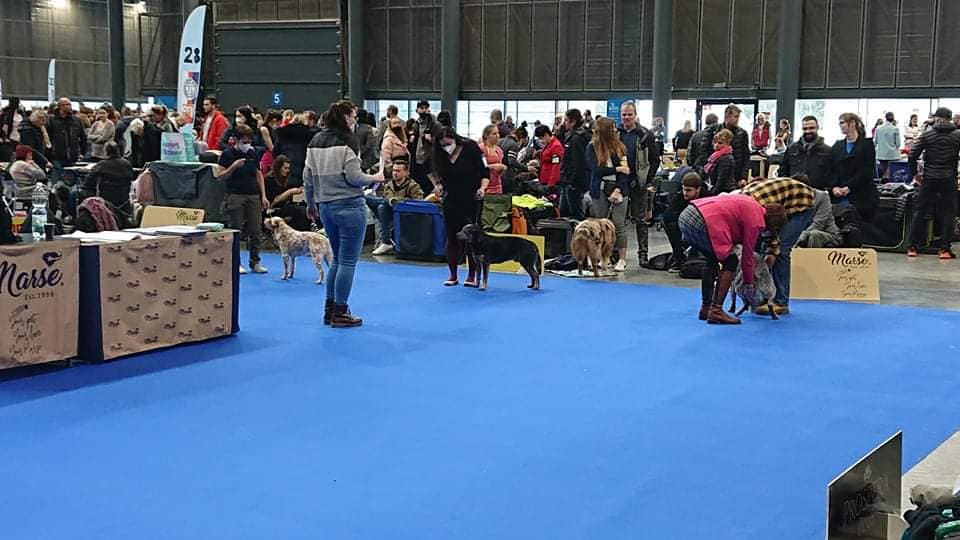 273300071_10217193102414202_6486014707152060025_n