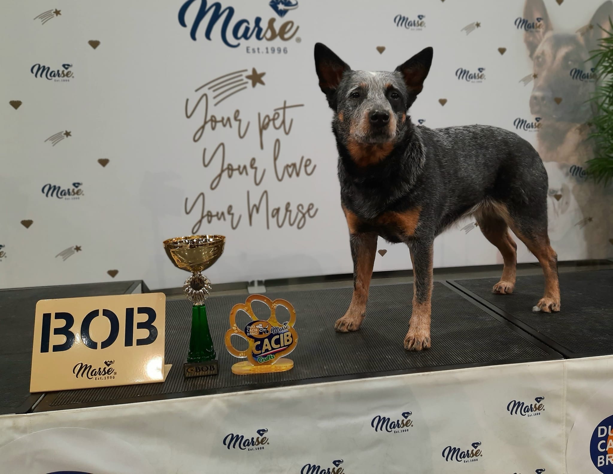 273505236_10217194349445377_8104911725445366545_n