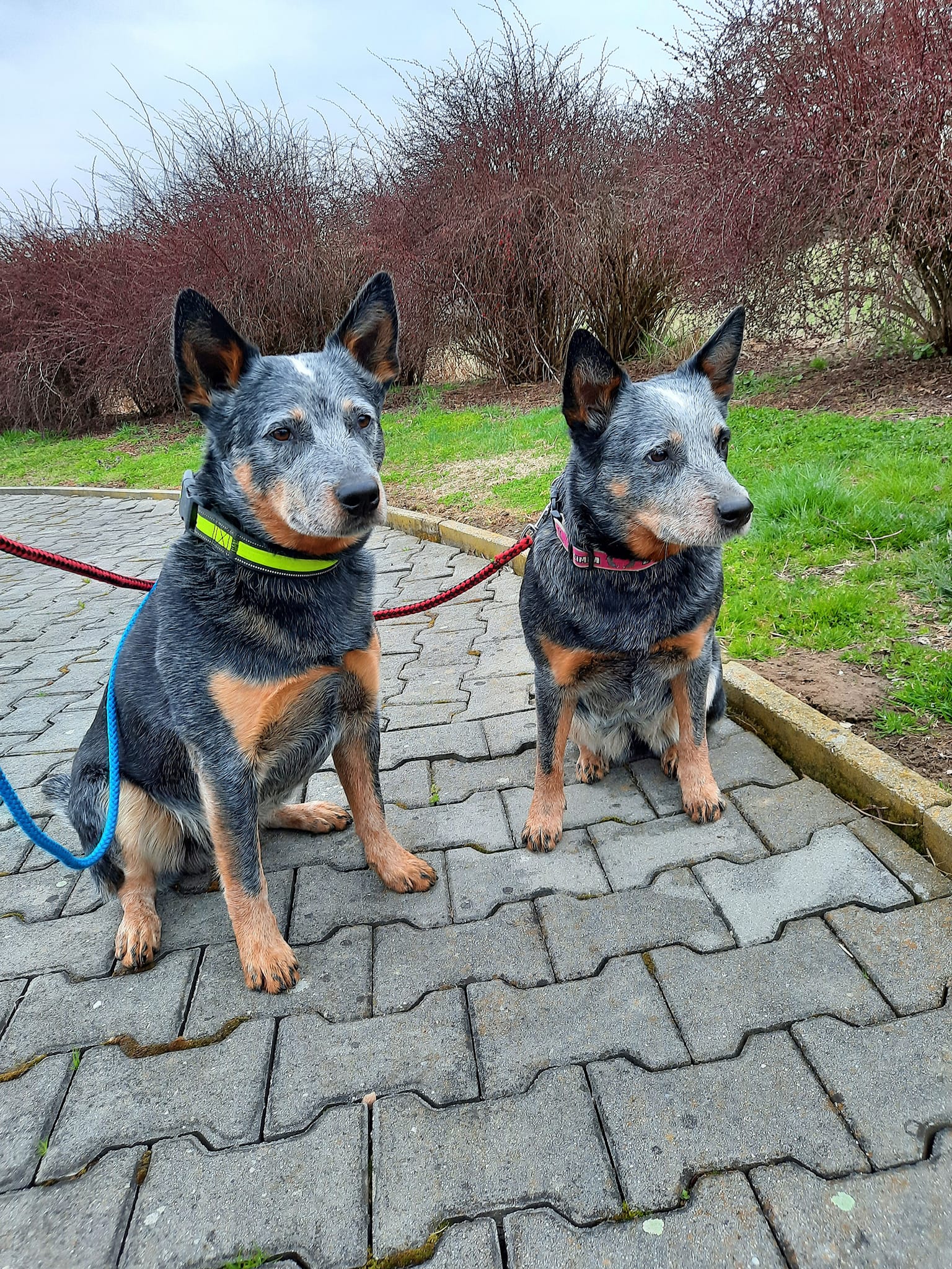 277174382_10217389283518607_3009541192749362374_n