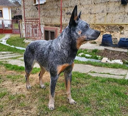 277758082_10217403338789980_6276761689670926456_n