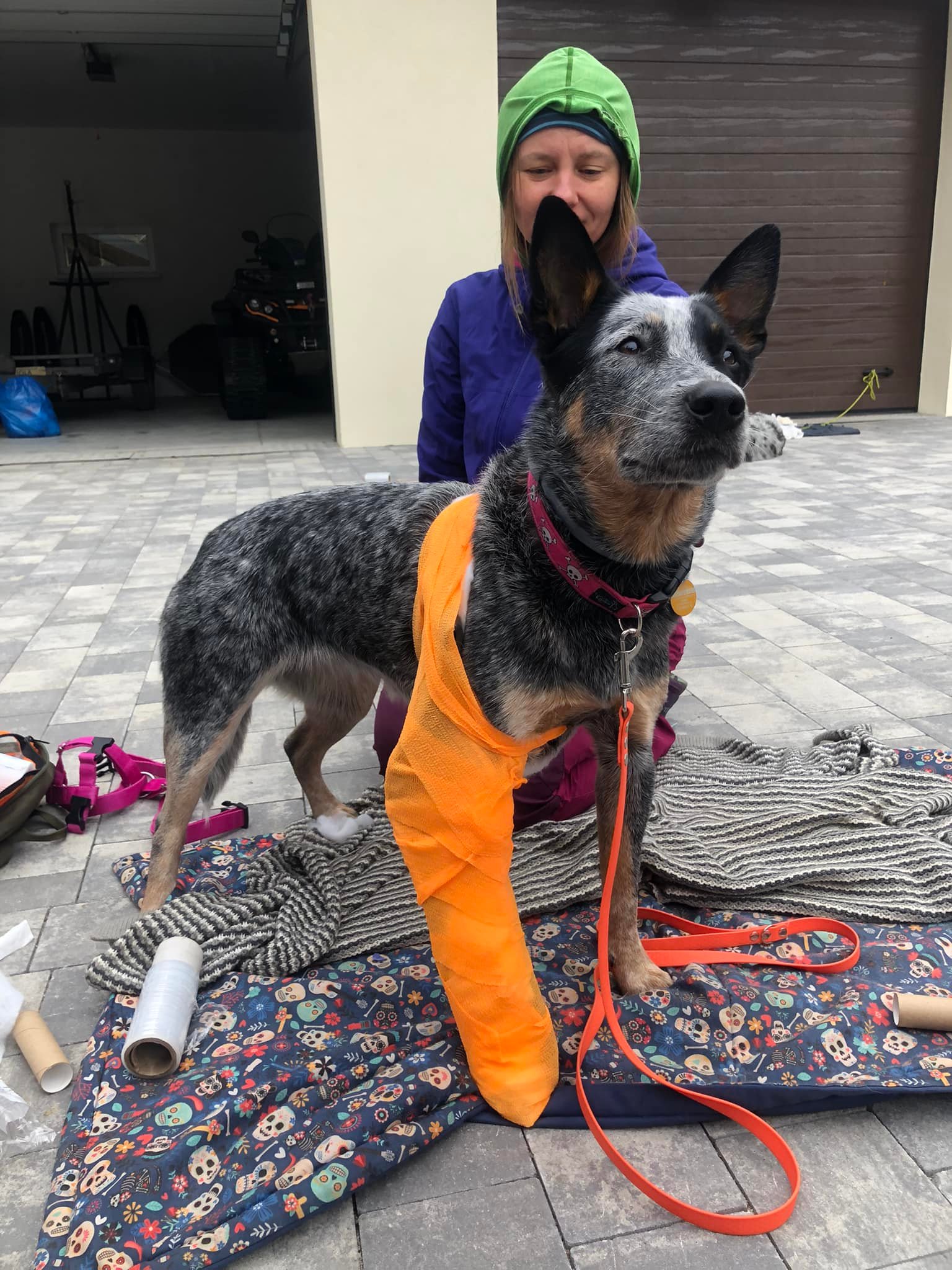 279175961_963924334313580_374377092591950365_n