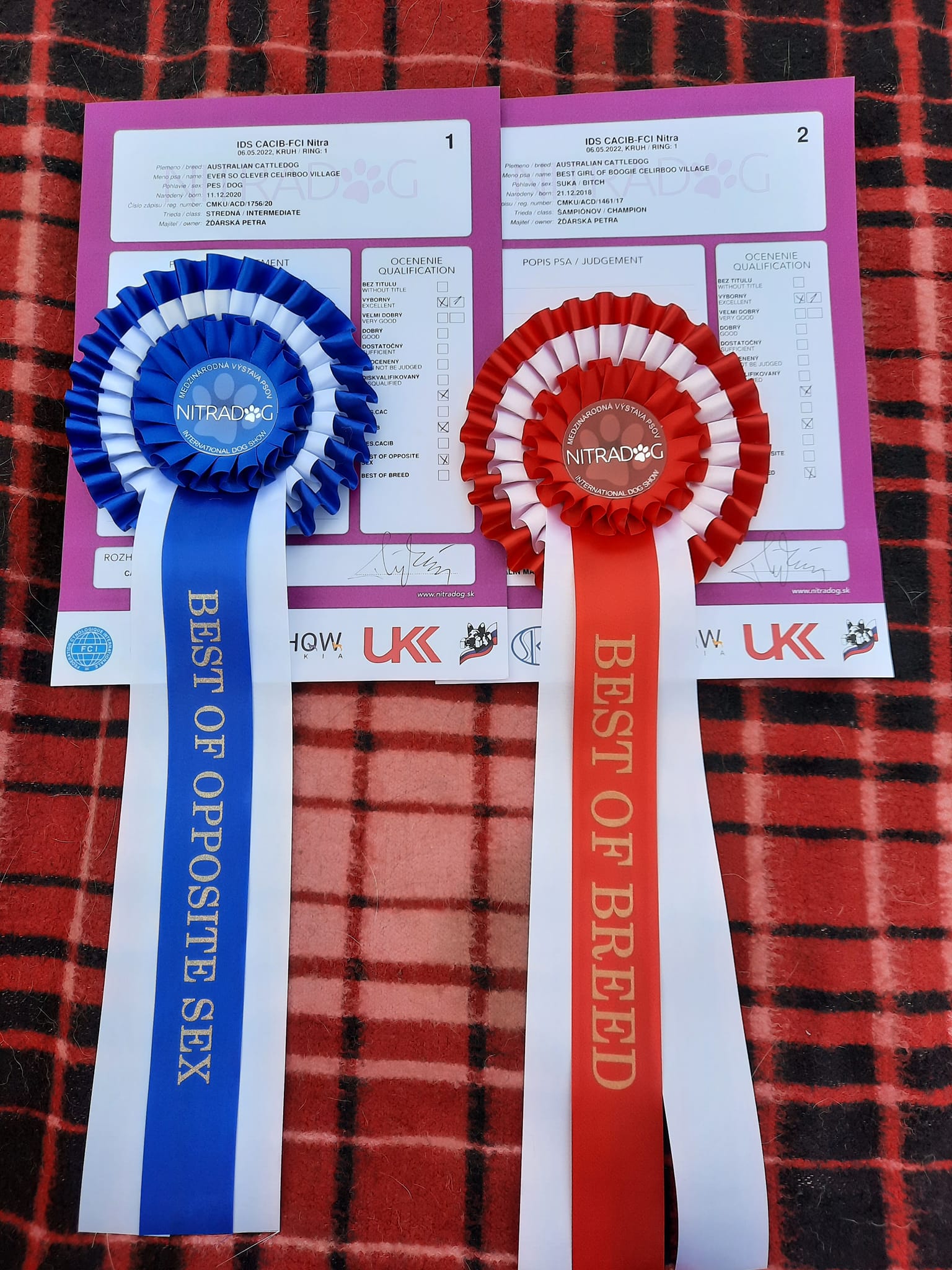 279629015_10217514079318424_1105788700476348741_n